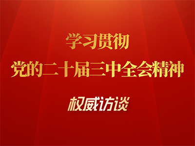 学习贯彻 党的二十届三中全会精神 权威访谈