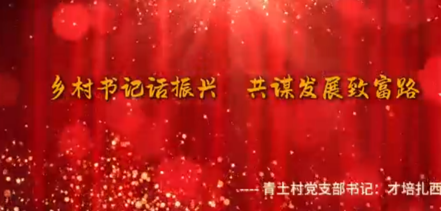 乡村书记话振兴、共谋发展致富路（二）
